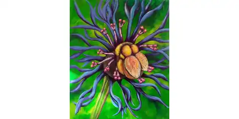 Abeille_Bee, 2017, acrylique sur toile, 30 X 36 po (76 X 91)